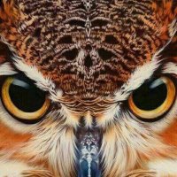 Chris M (@chris7717364468) 's Twitter Profile Photo