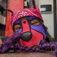 Pup Lux (@owoffle) 's Twitter Profile