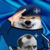 Bad NAFO Takes (@badnafotakes) Twitter profile photo Bad NAFO Takes (@badnafotakes) Twitter profile photo