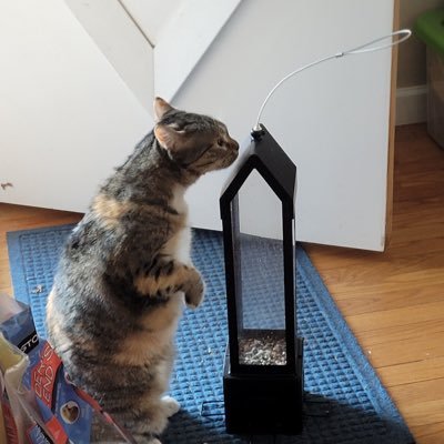 emilys_luthor's profile picture. he/him | queer | 21 | taylor swift and peter mcpoland brainrot | would do anything for the chicago red stars | ❤️💙