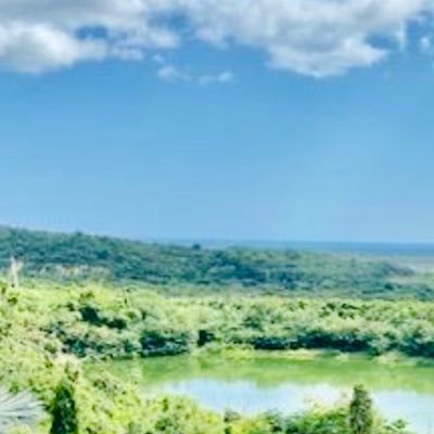 CarmenO47030934's profile picture. Wife, Mother, Grandmother, Retired! Catholic🇻🇦Love to read and learn new things! God Bless All! 🚀1FanSpaceX , Donald J Trump is Our President 45/47!🚫DM