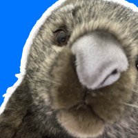 🐨Wombatoha Tree🌳(@MindMapTree) 's Twitter Profile Photo