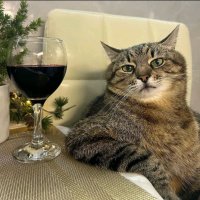 M Minhaz (@mminhaz20) 's Twitter Profile