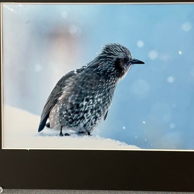 miyapon321's profile picture. 中の人の日常ツイ流れます。