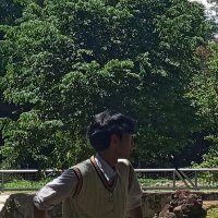 roti o 🍞 (@strawbericss) 's Twitter Profile