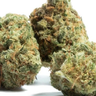 bommbap's profile picture. https://t.co/o3BmGm7DmZ $DFI $BTC $ADA $ETH $XMR $ShitCoin Investor , NFT noob @defichainNFTs Supporter