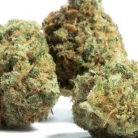 Haze Ventura 🥦💨 (@bommbap) Twitter profile photo