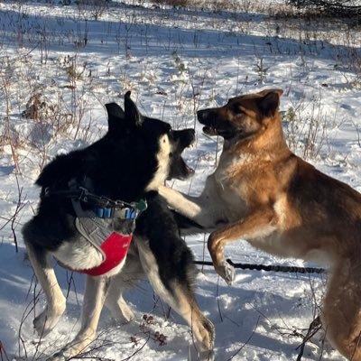 zosiambtc's profile picture. Anti Statist