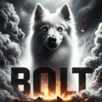 Bolt⚡️(@Bolt007_) 's Twitter Profile Photo
