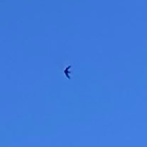 xcxxxg's profile picture. 