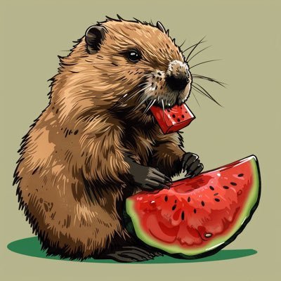 watermelon $BOBER . Ambassador @seedcaptainx . owner of telegram group Discutii Libere MultiversX https://t.co/83Bhu3PmH5