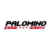 Palomino Motorsports(@teamwari) 's Twitter Profile Photo