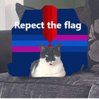 rAsh - Flag Respector(@rAshLols) 's Twitter Profile Photo