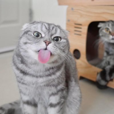 MayaMay1398480's profile picture. 