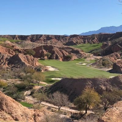 BlitzYYC's profile picture. 