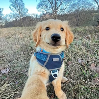 77520qqu's profile picture. 