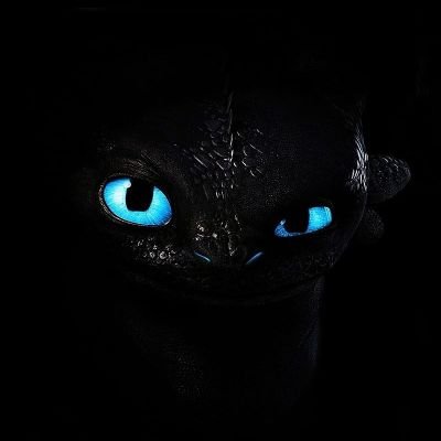 NightFury6038 Profile Picture