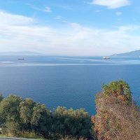 bursa aktif sikici👍 (@teksas812862) 's Twitter Profile