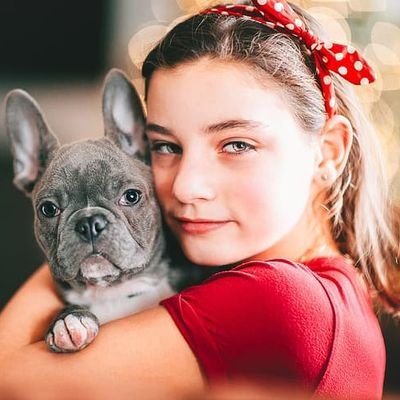 A dog house is a tiny open-air safe house constructed to give a cozy and sheltered home for a puppy. Doggie homes get in multiple sizes and designs and are buil