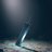 Lee_____you's profile image