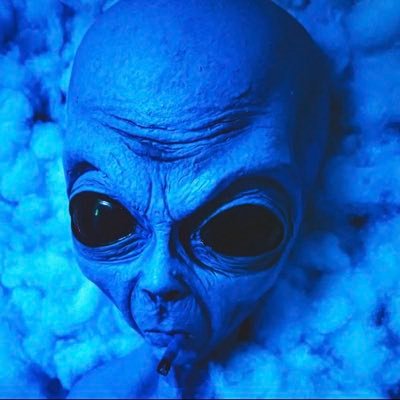 hoelykatrachi's profile picture. Creating my own sunshine,even on cloudy days✨ 13th son of August😎