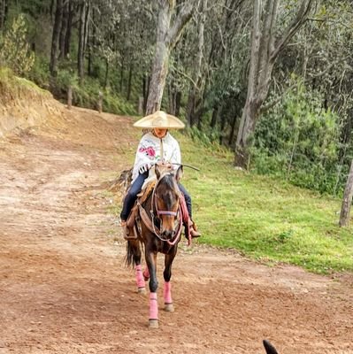 Charrería | 21🌻Galopa hasta alcanzar tus sueños🐎