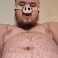 donkeydicked pig (@beastiebearpig) 's Twitter Profile