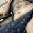 bearbttmboy's profile image