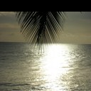 Paul Trafford - @fernclose - Twitter