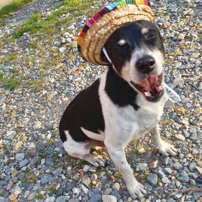 TravisJ75081858's profile picture. just observing