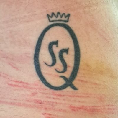 house bitch, sex slave, financially-dominated, chastity whipped, permanently locked and leashed bitchboy owned by QSS ⛓️👑