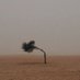 تين و ليمون (@37s3) Twitter profile photo تين و ليمون (@37s3) Twitter profile photo