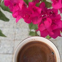 عائشه|راحلة ويبقى الأثر 🌧🌱 (@ayshtdlak74261) Twitter profile photo