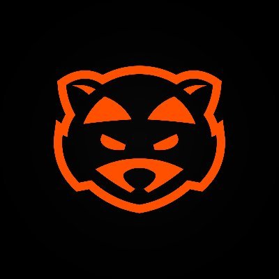 RaccoonLeague Profile Picture