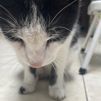 loamさんのプロフィール画像