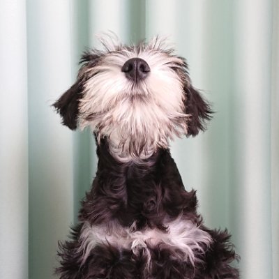 JAC_Rqt's profile picture. Commercial photographer for 20 year. Ask me anything and I will do my best to answer. Life, Photography, Crypto, Endgame