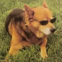 Arkh (@arkhsarkhive) 's Twitter Profile