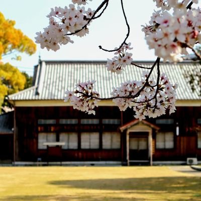 U19911225's profile picture. 都留文 地社2年/05/合唱団(一応Bass)