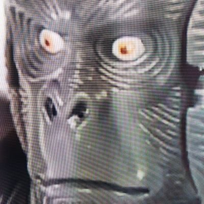 DevdanElna68580's profile picture. 