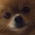 Da dog (@dadogiscute) Twitter profile photo Da dog (@dadogiscute) Twitter profile photo