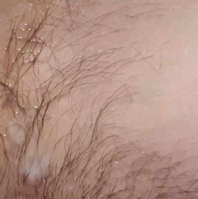 mcpn363470's profile picture. ນັດມາ