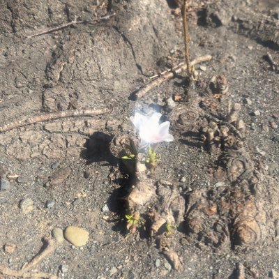 kak076's profile picture. Postは音楽、映画、アニメが主。