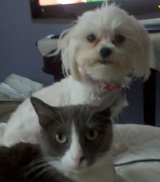 Pets are my passion! I care for my client's pets as if they were my very own!