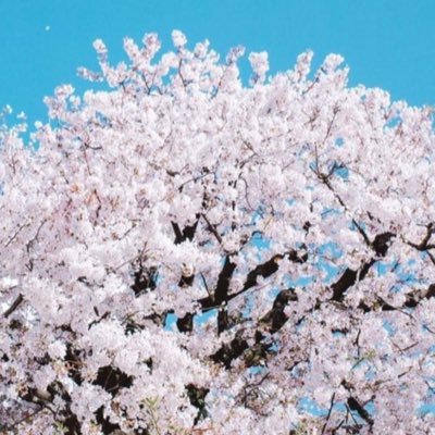 zakeru2019's profile picture. 