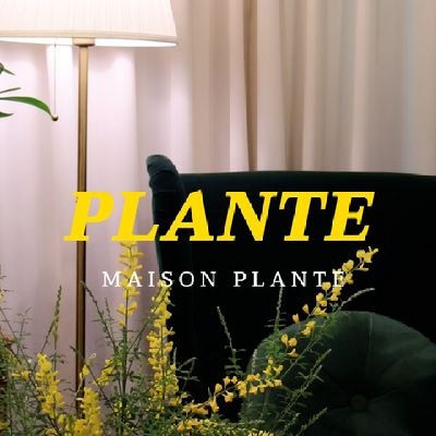 gr210416's profile picture. favorite thing | Let's have fun | Steadily