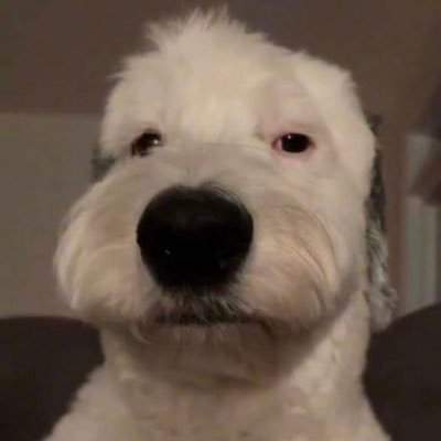 bnewyin's profile picture. IG: brianremodelz