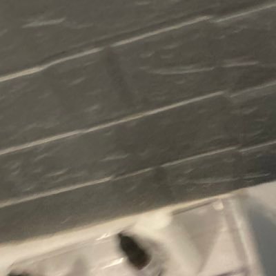 levitatedvs's profile picture. 