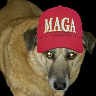 Independent Conservative
✝️ Jesus Christ
🇺🇸America 1st MAGA 🌴Bob Marley
🎞 Media Consultant 👍Stay Strong ❤️ Stay United💧Be Water My Friends🤙
🚫NO DM🚫
