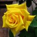 Amitta Agarwal (@amitta_agarwal) Twitter profile photo Amitta Agarwal (@amitta_agarwal) Twitter profile photo