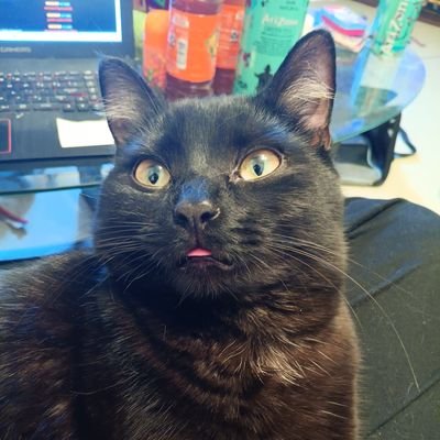 cheebeecake's profile picture. I'M CHEESECAKE @tonycoffman IS MINE DADE!!!